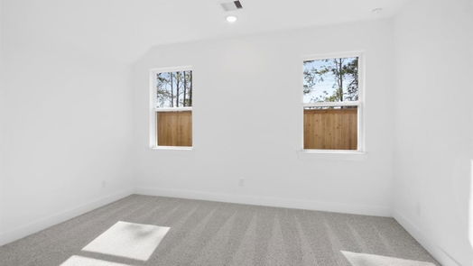 Conroe 2-story, 4-bed 502 Belle Springs Lane-idx