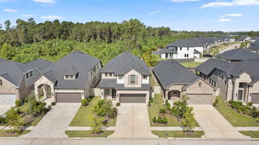 Conroe 2-story, 4-bed 17786 Tree of Heaven-idx