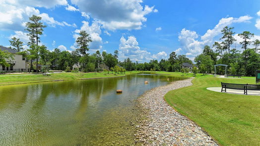 Conroe 2-story, 4-bed 17786 Tree of Heaven-idx