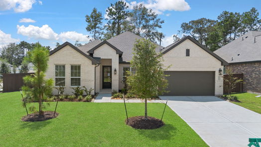 Conroe 1-story, 4-bed 16018 Ruby Laurel Court-idx