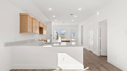 Conroe 1-story, 3-bed 1143 Kinsey Wilderness Lane-idx