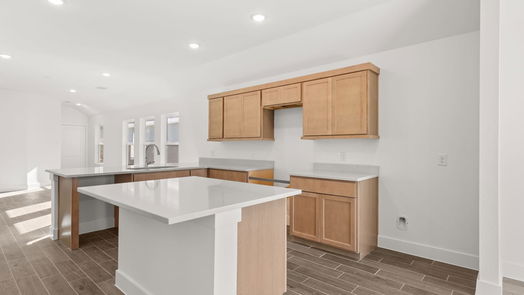 Conroe 1-story, 3-bed 1143 Kinsey Wilderness Lane-idx