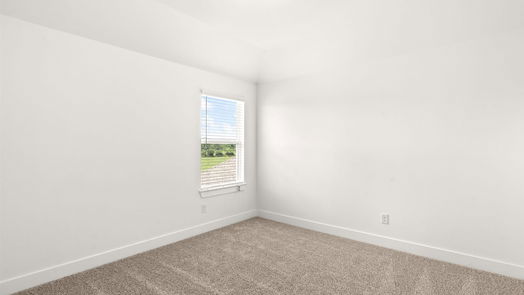Conroe 15-story, 4-bed 15516 Leopard Lily Lane-idx