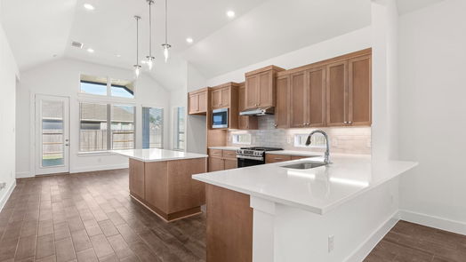 Conroe 1-story, 3-bed 18207 Saffron Sun-idx