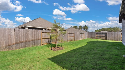 Conroe 1-story, 3-bed 18207 Saffron Sun-idx