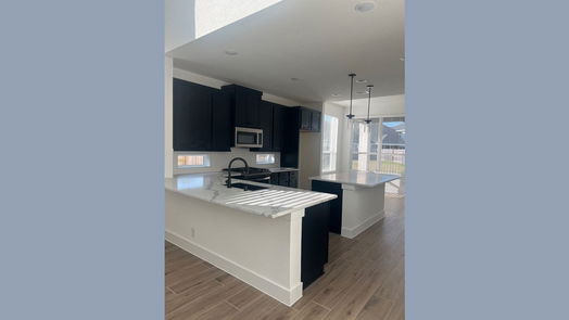 Conroe 2-story, 4-bed 10707 Pine Pink-idx