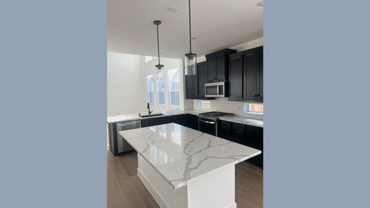 Conroe 2-story, 4-bed 10707 Pine Pink-idx