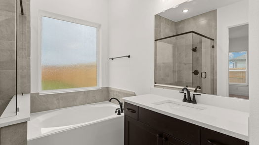 Fulshear 2-story, 4-bed 30527 Zoysia Point Lane-idx