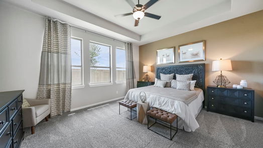 Manvel 1-story, 4-bed 4615 Pistachio Trail-idx
