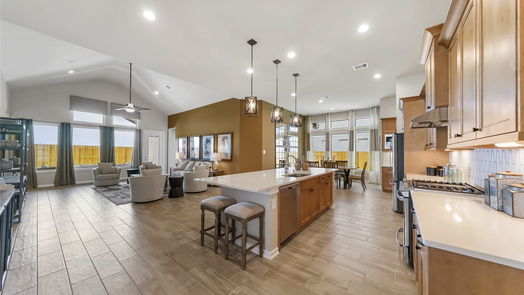 Manvel 1-story, 4-bed 4615 Pistachio Trail-idx