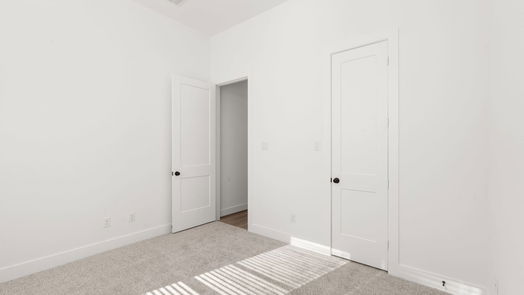 Manvel 1-story, 4-bed 4723 Pistachio Trail-idx