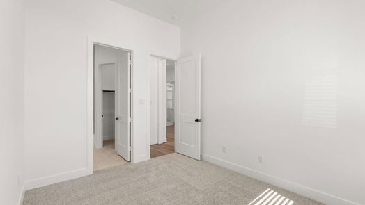 Manvel 1-story, 4-bed 4723 Pistachio Trail-idx