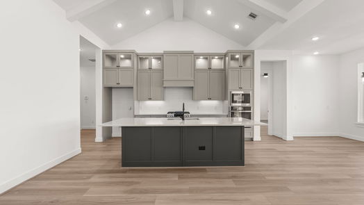 Manvel 1-story, 4-bed 4723 Pistachio Trail-idx