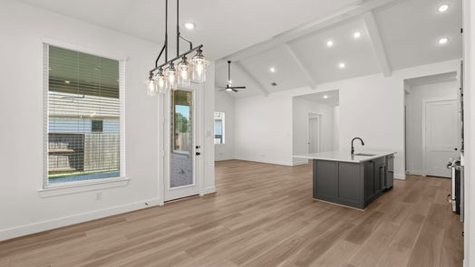 Manvel 1-story, 4-bed 4723 Pistachio Trail-idx