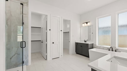 Manvel 1-story, 4-bed 4723 Pistachio Trail-idx