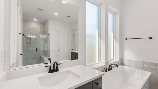 Manvel 1-story, 4-bed 4723 Pistachio Trail-idx