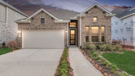 Missouri City 1-story, 3-bed 10723 Blossom River Drive-idx