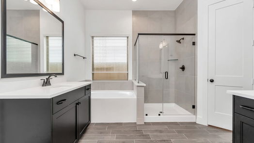 Missouri City 1-story, 3-bed 10723 Blossom River Drive-idx