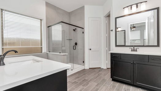 Missouri City 1-story, 3-bed 10723 Blossom River Drive-idx