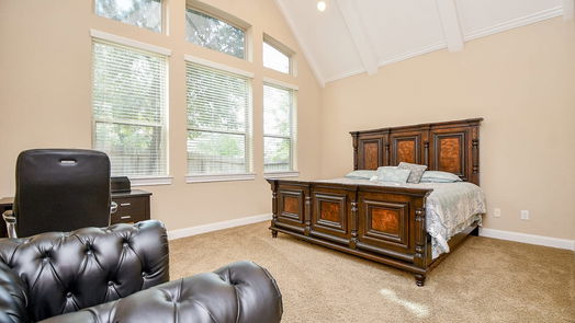 Sugar Land 1-story, 4-bed 2102 Cobblerstone Court-idx