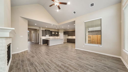 Tomball null-story, 4-bed 12607 Blossom Drive-idx