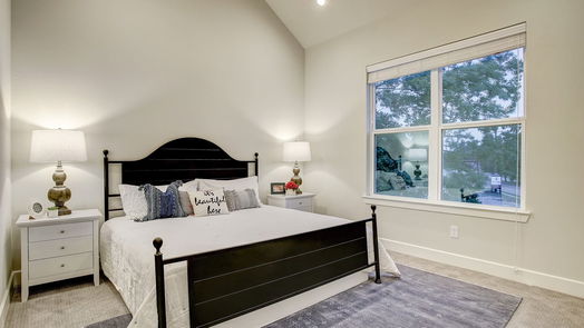 Houston 2-story, 3-bed 6306 Brighton Oaks Lane-idx