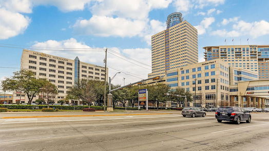 Houston 2-story, 3-bed 2216 Harry Cooper Lane-idx