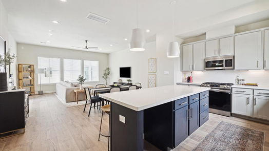 Houston 3-story, 3-bed 3017 Hicks Street-idx