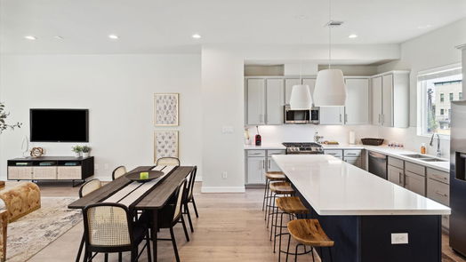 Houston 3-story, 3-bed 3017 Hicks Street-idx