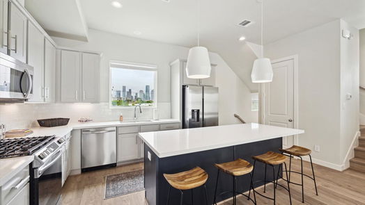 Houston 3-story, 3-bed 3017 Hicks Street-idx