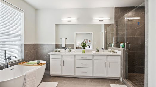 Houston 3-story, 3-bed 10624 Cascade Ledge Lane-idx
