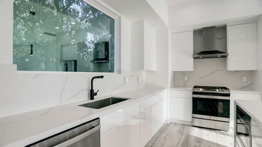 Houston 3-story, 3-bed 1710 Jacquelyn Springs Lane-idx