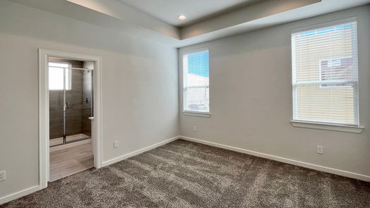 Houston 2-story, 3-bed 1013 Erin Street M-idx