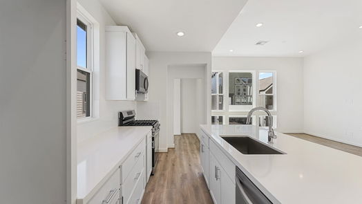 Houston 2-story, 2-bed 1102 Highland Ranch Lane-idx