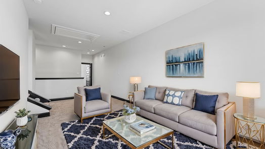 Houston 2-story, 2-bed 9219 Washington Heights Street-idx
