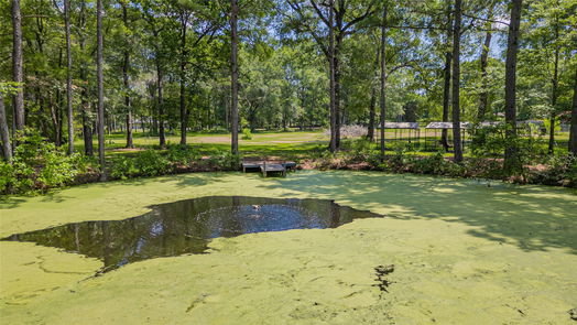 Conroe 1-story, 4-bed 14994 East Drive-idx