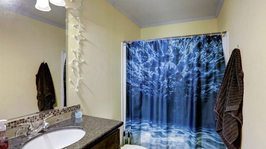 Manvel 1-story, 3-bed 6626 Del Bello Spur-idx