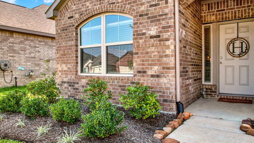 Conroe 1-story, 4-bed 797 Yellow Birch Lane-idx