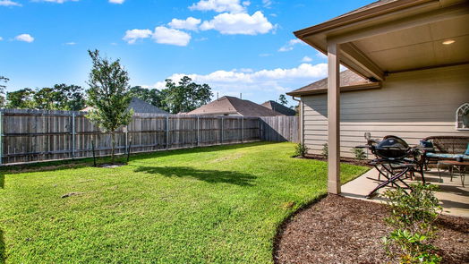 Conroe 1-story, 4-bed 797 Yellow Birch Lane-idx