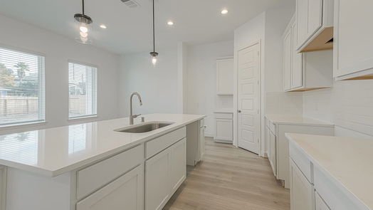 Houston 3-story, 3-bed 8902 Covenant Place-idx