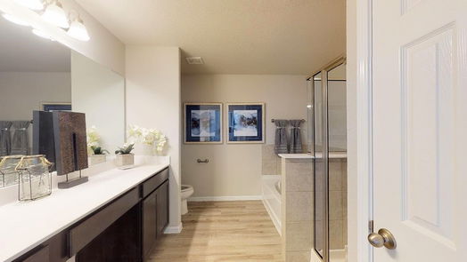 Humble 2-story, 3-bed 24710 White Libertia Court-idx