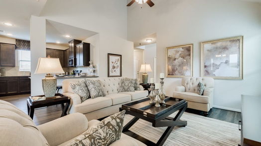 Magnolia 2-story, 3-bed 10220 Longhorn Ridge Court-idx