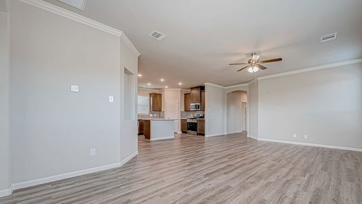 Magnolia 1-story, 3-bed 10269 Badger Run Lane-idx
