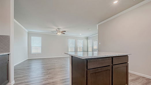 Magnolia 1-story, 3-bed 10269 Badger Run Lane-idx