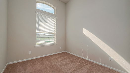 Rosharon 1-story, 4-bed 2409 Sequoia Grove Drive-idx