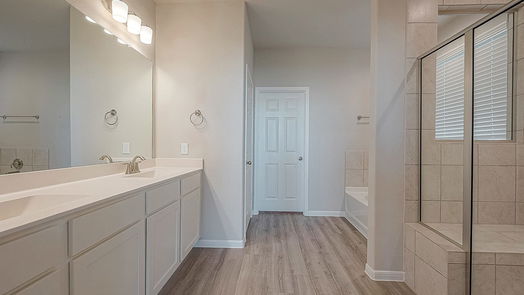 Rosharon 1-story, 4-bed 2409 Sequoia Grove Drive-idx