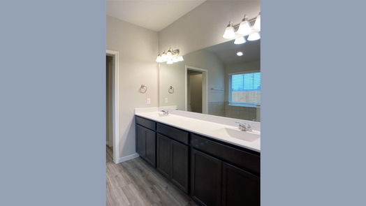 Rosharon 1-story, 4-bed 10203 Alpine Lake Lane-idx
