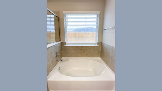 Rosharon 1-story, 4-bed 10203 Alpine Lake Lane-idx