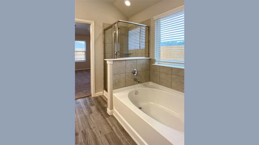 Rosharon 1-story, 4-bed 10203 Alpine Lake Lane-idx