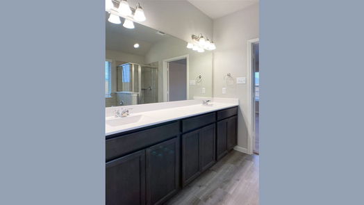 Rosharon 1-story, 4-bed 10203 Alpine Lake Lane-idx